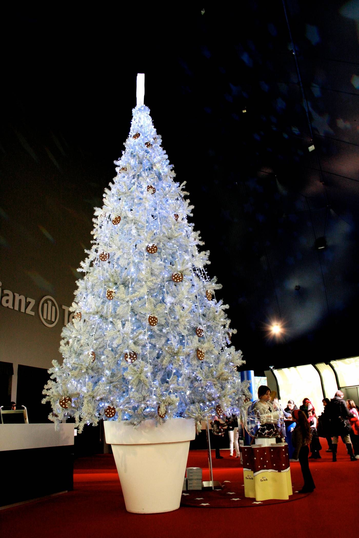 Pan Di Stelle Christmas Show La Magia Del Natale Adverteam